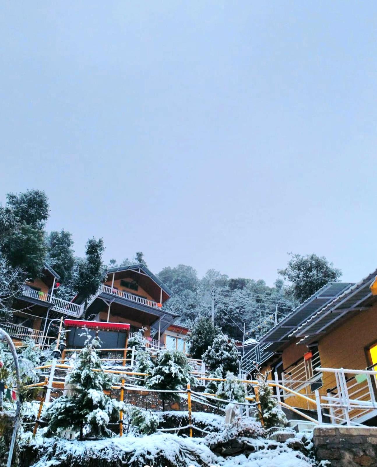 ホテル The Mystic Pines ナイニタール エクステリア 写真